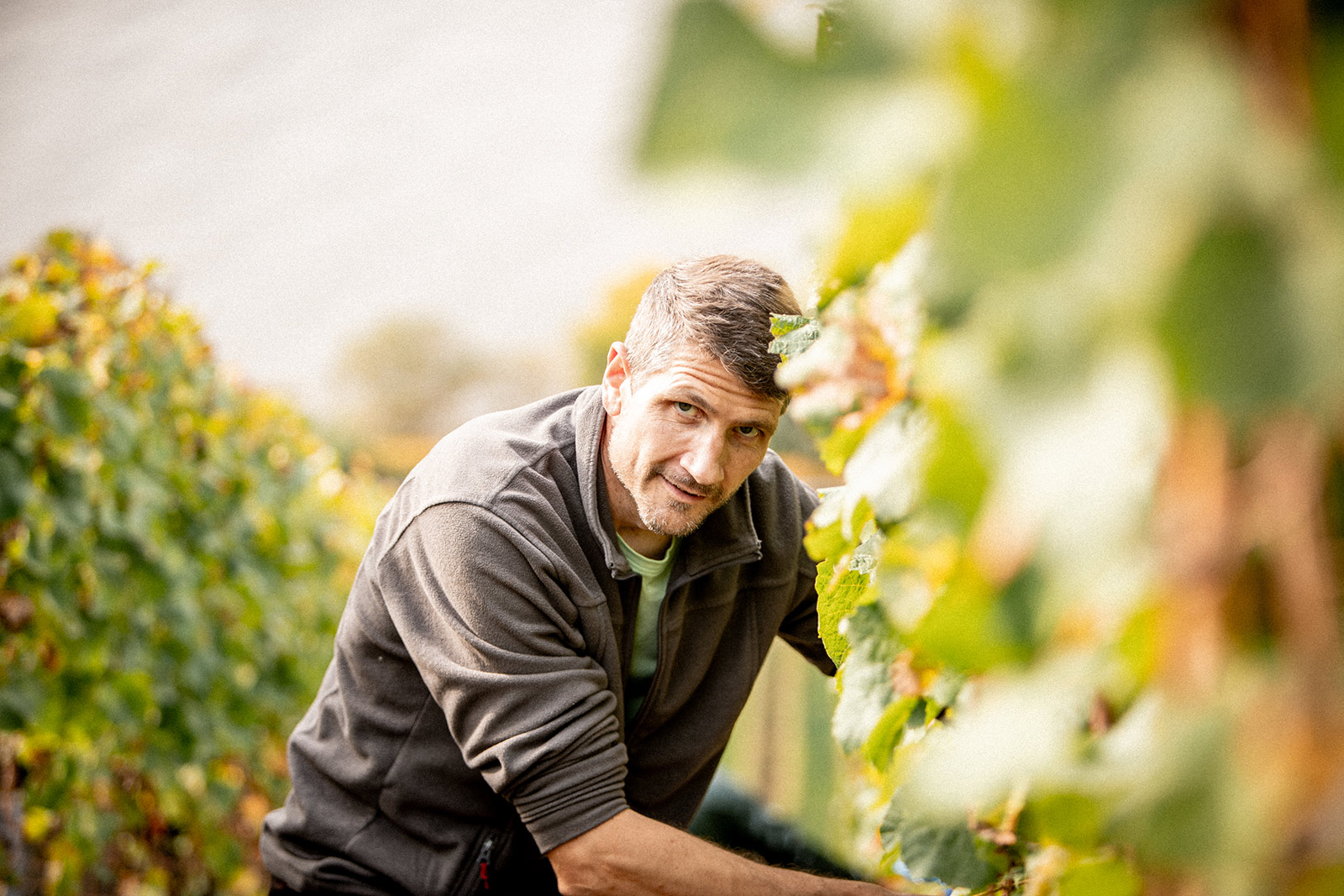 weingut-bernhard-eifel-cristoph-cluesserath-impressionen-13