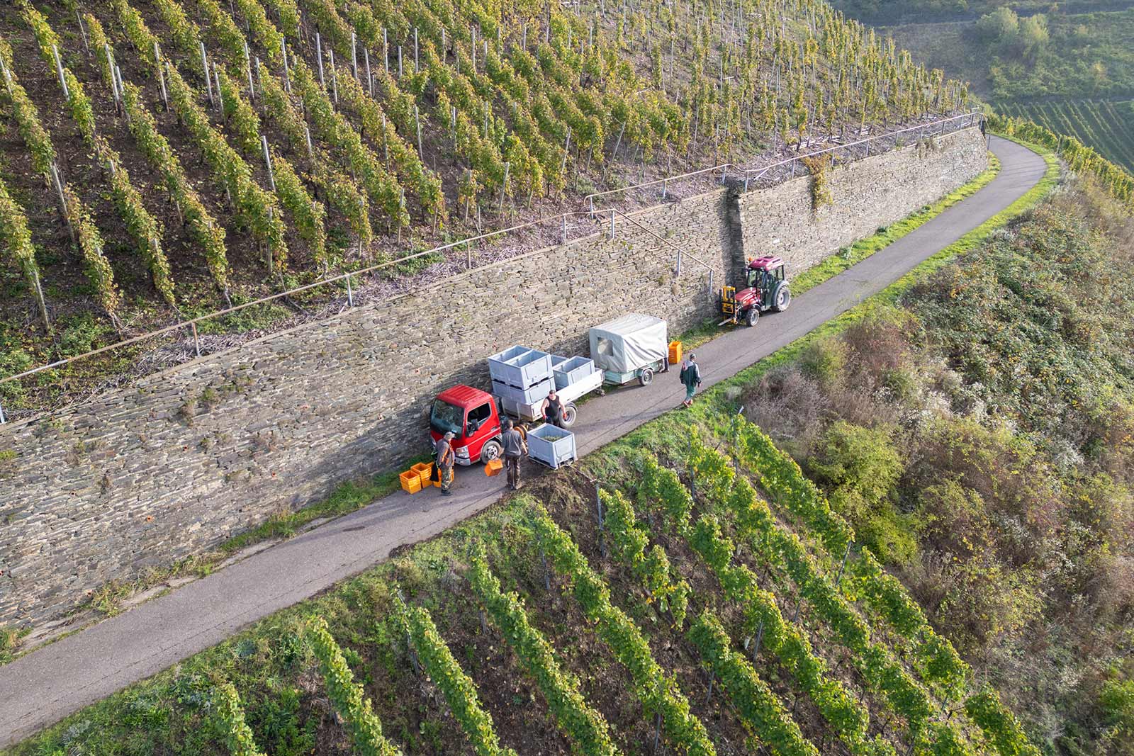 weingut-bernhard-eifel-cristoph-cluesserath-impressionen-weingut-04