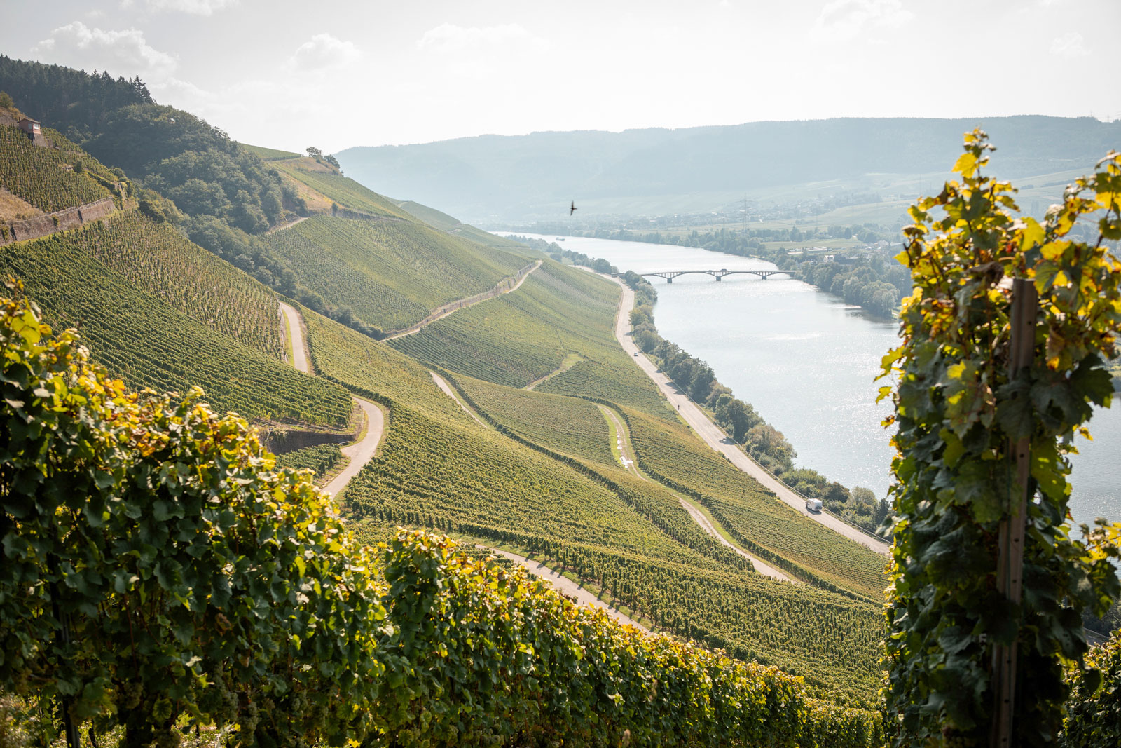 weingut-eifel-cluesserath-lagen-02