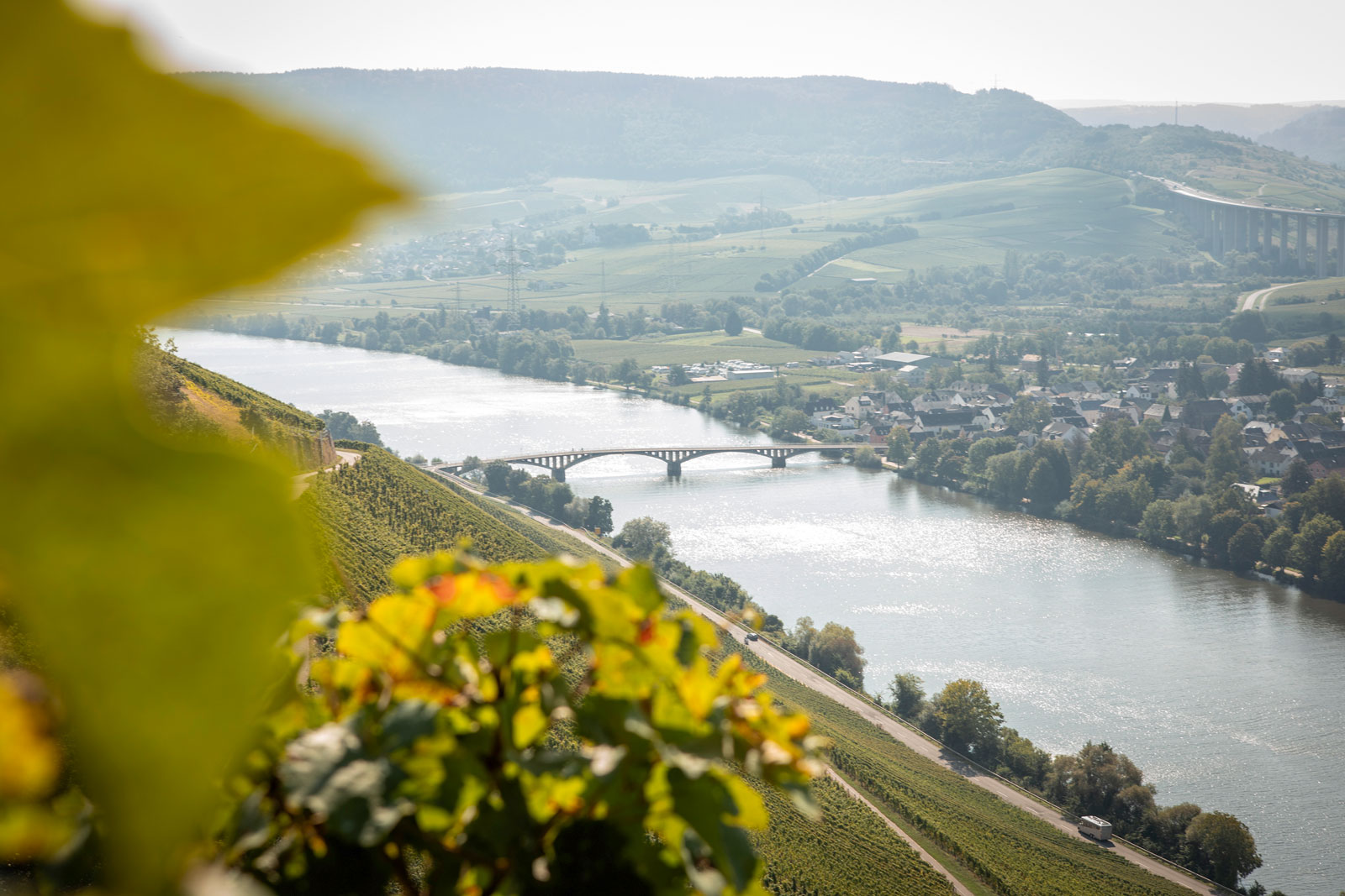 weingut-eifel-cluesserath-lagen-06