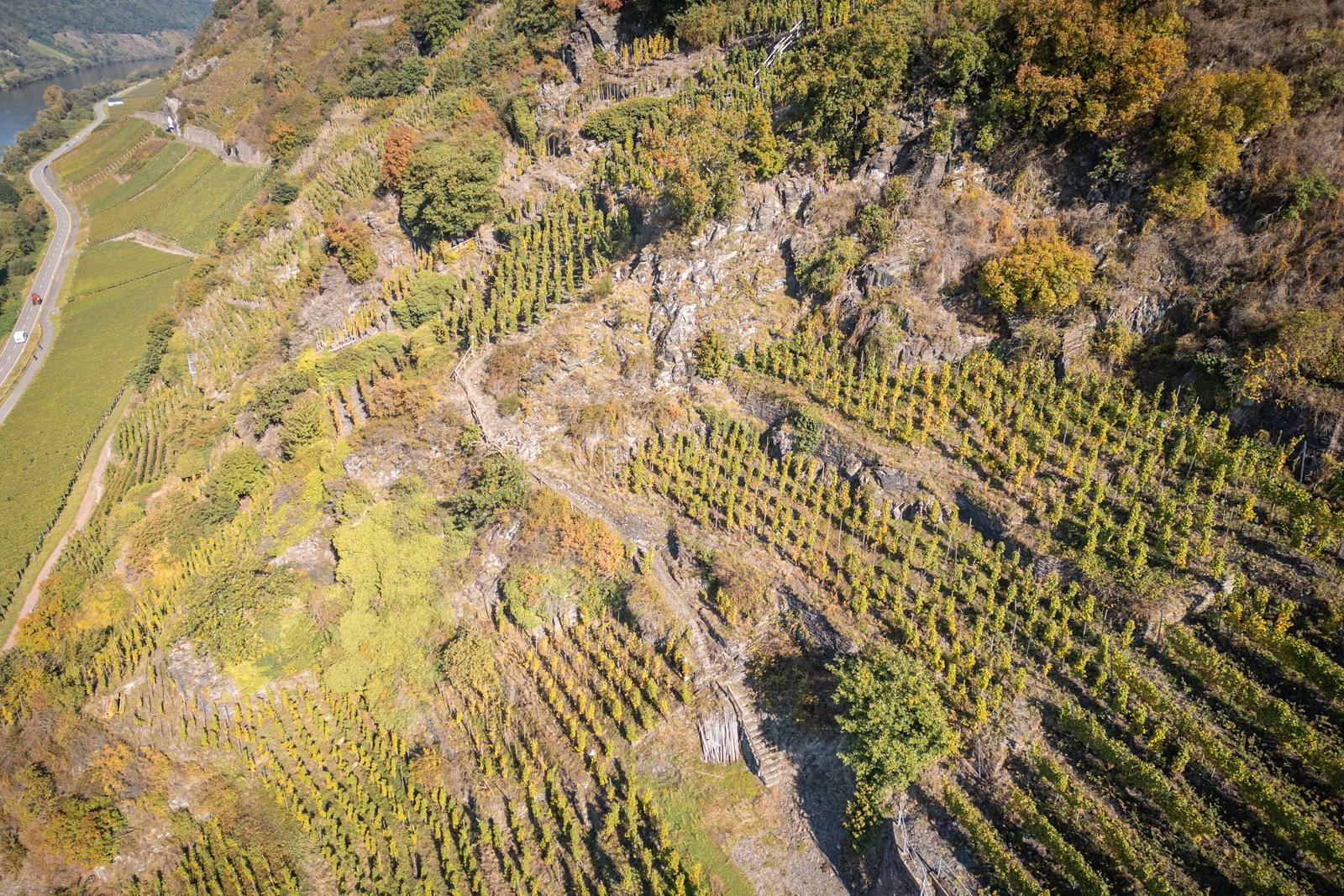 weingut-eifel-cluesserath-lagen-11